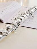 Exam. Musikpädagogin(staatl.Hochschule) gibt Querflötenunterricht (auch online) in 76344