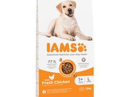 2 kg gratis! 12 kg IAMS Advanced Nutrition - Adult Large Dog mit Huhn
