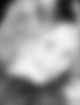 Reh*** - Groß Laasch