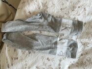 Calvin Klein Socken - Dortmund