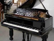 Flügel Klavier Steinway & Sons B-211, schwarz poliert, 5 Jahre Garantie - Egestorf