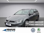 VW Golf Variant, 1.6 TDI Golf VII IQ Drive, Jahr 2019 - Schwerin