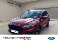 Ford Kuga, 2.5 Duratec ST-Line X, Jahr 2020 - Krefeld