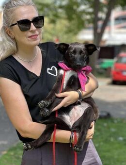 Kleine Ziva sucht liebevolles Zuhause - Seggebruch