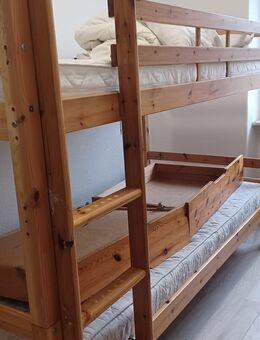 Zu verschenken!!! Massives 2stöckiges Hochbett und Schreibtisch an Selbstabholer, Standort Meißen - Meißen Zentrum