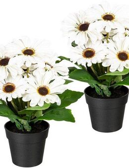 Kunstpflanze Elaine Gerbera, my home, Höhe 27 cm, im Topf, 2er Set