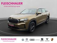 Skoda Kodiaq, 2.0 TDI Selection Licht und Sicht-Paket Plus UPE 59 220, Jahr 2024 - Bad Kreuznach