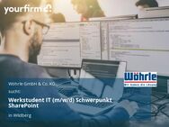 Werkstudent IT (m/w/d) Schwerpunkt SharePoint - Wildberg (Baden-Württemberg)
