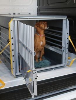 VW Kleinmetall Hundebox MultiCage Einzelbox *Borgmann* - Krefeld