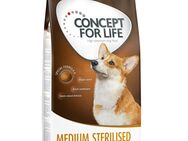 12 kg Concept for Life zum Sonderpreis! - Medium Sterilised