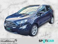 Ford EcoSport, 1.0 Titanium, Jahr 2020 - Bad Driburg