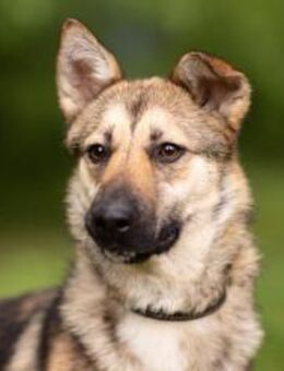 MARTINA- liebt Spaziergänge - Mainhardt