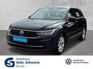 VW Tiguan, 1.5 TSI Active IQ DRIVE, Jahr 2023 - Bünde