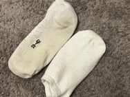 getragene Sneaker Socken - Frankfurt (Main)