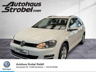 VW Golf Variant, 1.2 TSI Golf VII "CUP" elektr Spiegel, Jahr 2014 - Schnaittach