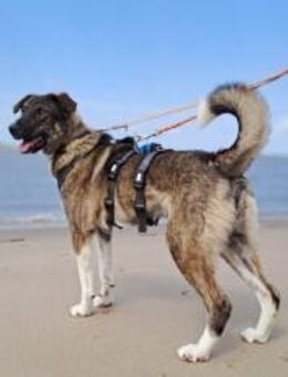 Bria möchte endlich ankommen - München