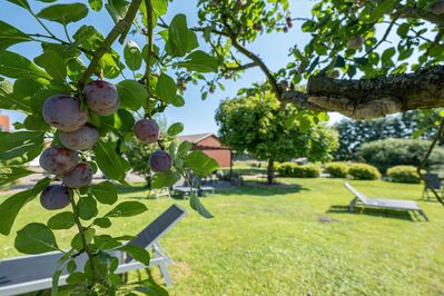 Vier exklusive Residenzen in Jork - Historischer Ferienhof im Alten-Land!