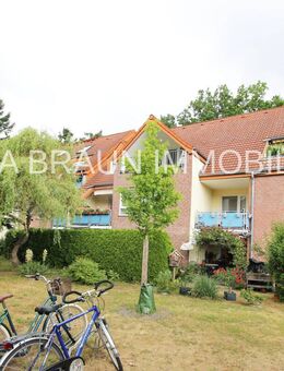 3 Zimmer Wohnung mit Balkon - 1. OG am Waldrand - Grünheide (Mark)