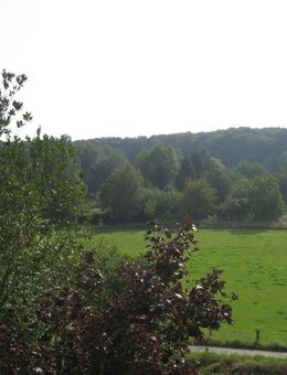 Provisionsfrei! SCHÖNE SANIERTE WOHNUNG IN BEGEHRTER RUHIGER LAGE - Friedrichsdorf