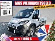 Fiat Ducato, Maxi 35 L3 Pritsche # #, Jahr 2022 - Bayreuth