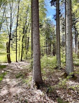 Waldgrundstück/ Freizeitgrundstück - Grebenhain