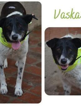 Vaska - Wendelstein