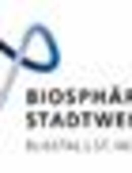 Ausbildung Fachinformatiker Systemintegration (w/m/d) - Sankt Ingbert