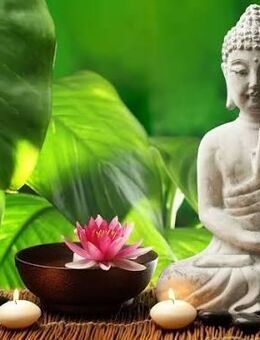 Wellnessmassagen - Berlin Steglitz-Zehlendorf