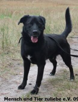 Clark energiegeladen und sehr lieb - Berlin