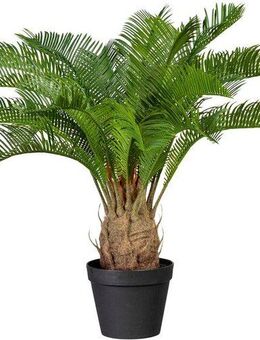 Kunstpalme Cycaspalme, Creativ green, Höhe 60 cm