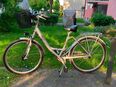 Fahrrad in 44536