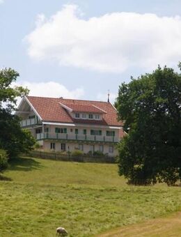 UNIKAT mit traumhaftem WEITBLICK direkt am ORTSRAND! Grosses WH / 3x ETW mit MODERNSTEM STANDARD u. VIELEN EXTRAS! - Reichling