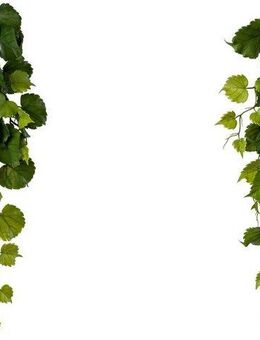 Kunstranke Hängezweig Pappelblatt, Creativ green, Höhe 78 cm