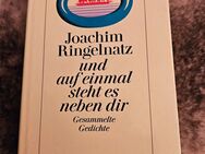 Buch - .. und auf einmal steht es neben dir von Joachim Ringelnatz - Diogenes gebunden - Sprockhövel Zentrum