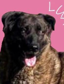 LUA treaumt vom eigenen Zuhause - Gefrees