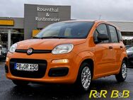 Fiat Panda, 1.0 Base Mild Hybrid EU6d, Jahr 2021 - Soest