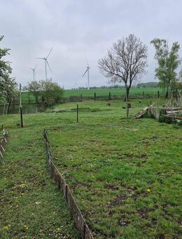+++ ACHTUNG PREISSENKUNG ++ Super Lage ++ Schönes Einfamilienhaus ++ in Wangenheim ++ Garage ++ Schönem großem Gartengrundstück ++ und Nebengelass +++ - Wangenheim