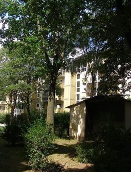47110/182 Geräumige 3.Zi-Wohnung mit Balkon in Düsseldorf-Mörsenbroich sucht neuen Mieter! - Düsseldorf