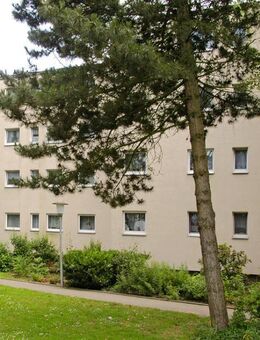 Schau' mich an - 3-Zimmerwohnung mit Laminatboden - Krefeld