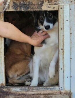 Jill- hofft auf ein neues Leben - Nürnberg