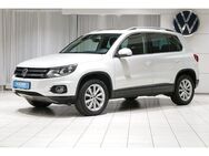 VW Tiguan 2.0TDI DSG 4MOTION Track Xenon Pano StHzg AHK Leder Keyless Kamera S - Dießen (Ammersee)