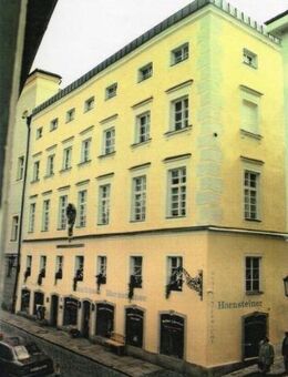 1-Zimmer-Apartment mit separater Küche (5) - Passau