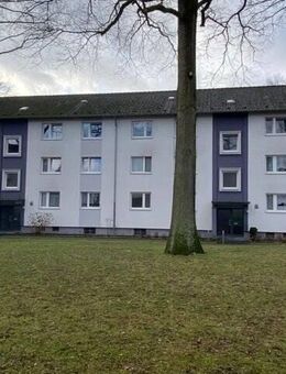Schöne, helle Eigentumswohnung, 3-ZKBB im Erdgeschoss (provisionsfrei) - Bielefeld