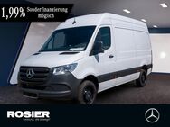 Mercedes Sprinter, 317 Kasten L2 H2, Jahr 2024 - Braunschweig