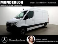 Mercedes Sprinter, 317 Kasten Standard, Jahr 2023 - Oldenburg