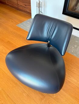 Zwei Leolux Designer Ledersessel - Eich CH