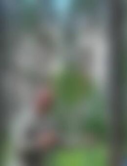 Mar*** - Roth (Bayern)