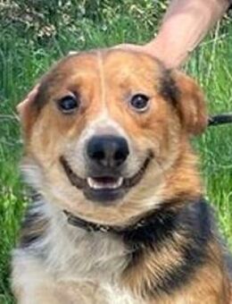 LEO: -Wo sind denn meine Menschen?- - Gefrees