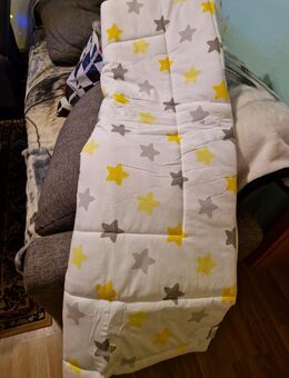 Laufgittereinlage - Ebersbach-Neugersdorf