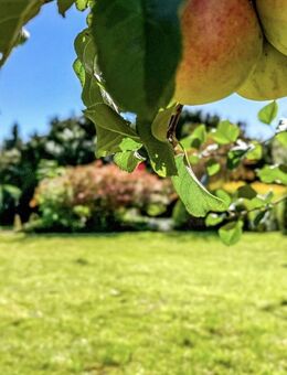 Gemeinsam wohnen, clever investieren - Ihr vielseitiges Objekt in Lübeck-Moisling - Lübeck